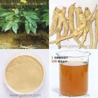 Panax Ginseng Root Extract ()